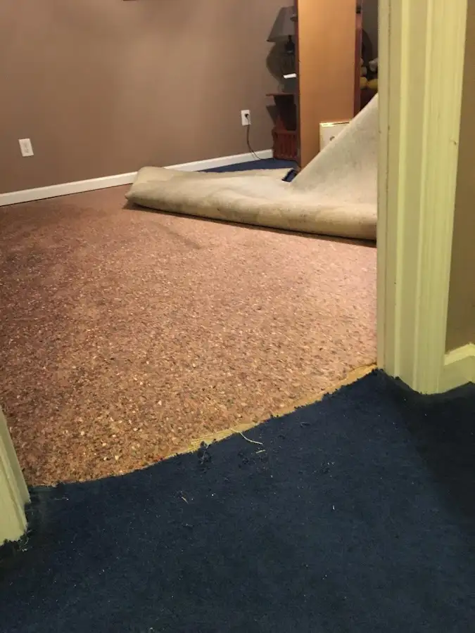 Carpet pad removal revealing water damage during Water Mitigation Services in South Euclid